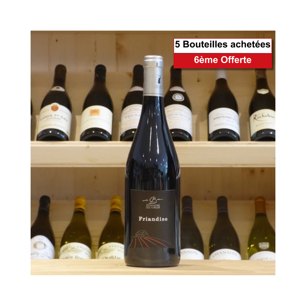 Anjou Gamay Domaine des Forges Friandise 2022