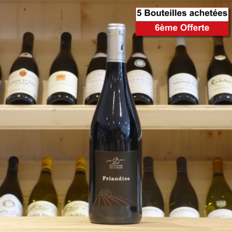 Anjou Gamay Domaine des Forges Friandise 2022