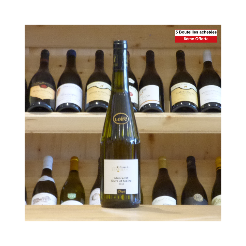Muscadet Sèvre & Maine sur Lie Prestige de L'Espérance 2024